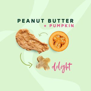Peanut Butter Pumpkin