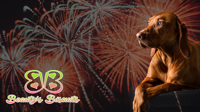 Keeping Your Pet Safe this 4th of July