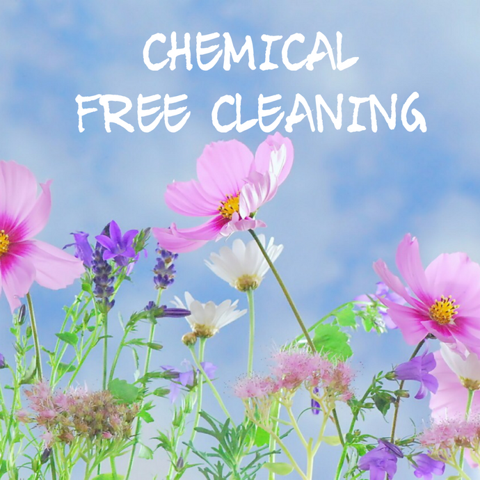 3 Natural Pet & Family Safe Cleaning Supplies for your Home.