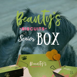 Senior Dog Biscuit Box